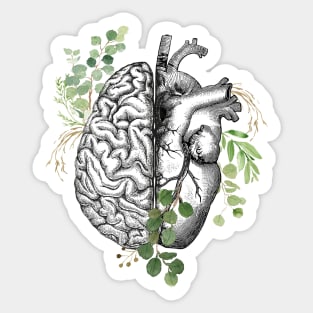 Right balance between brain and heart, leaves eucalyptus, mental health Sticker